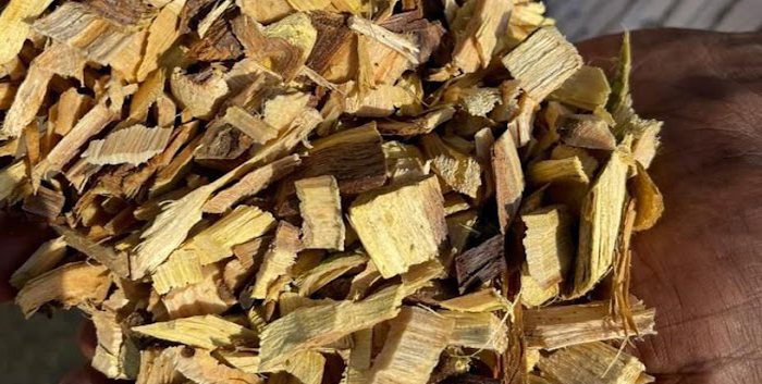 Biomass Raw Materials